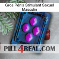Gros Pénis Stimulant Sexuel Masculin 04